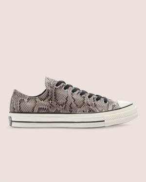 Tenisi Low Top Converse Chuck 70 Reptile Piele Intoarsa Gri | CV-260UHV