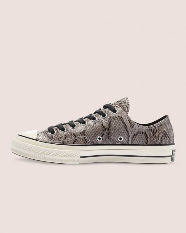 Tenisi Low Top Converse Chuck 70 Reptile Piele Intoarsa Gri | CV-790LPZ