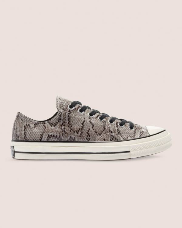 Tenisi Low Top Converse Chuck 70 Reptile Piele Intoarsa Gri | CV-790LPZ