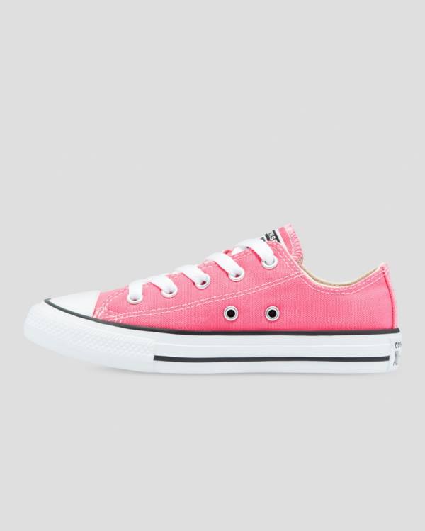 Tenisi Low Top Converse Chuck Taylor All Star Seasonal Colour Roz | CV-153XQW