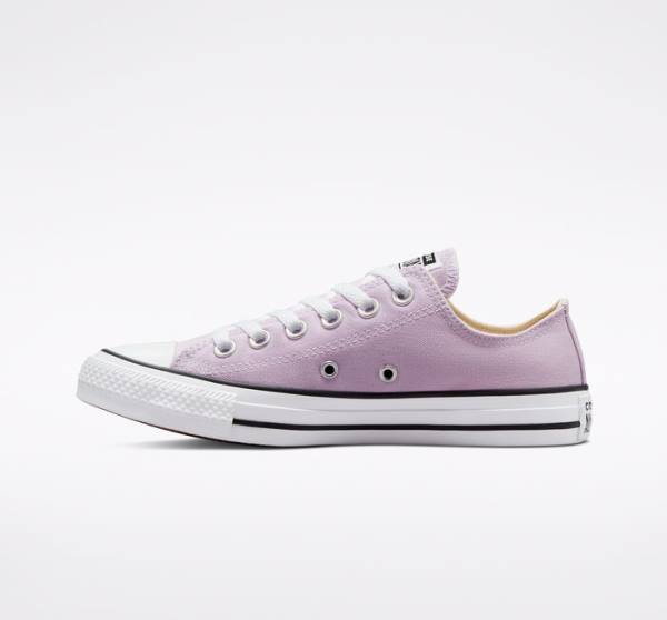 Tenisi Low Top Converse Chuck Taylor All Star Seasonal Color Lavanda | CV-165OAT