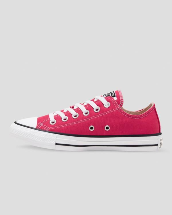 Tenisi Low Top Converse Chuck Taylor All Star Seasonal Colour Roz | CV-328FUQ