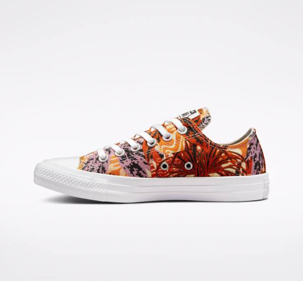 Tenisi Low Top Converse Chuck Taylor All Star Tropical Florals Portocalii Negrii Albi | CV-527KPD