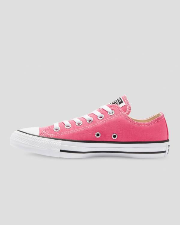 Tenisi Low Top Converse Chuck Taylor All Star Seasonal Colour Roz | CV-540RFI