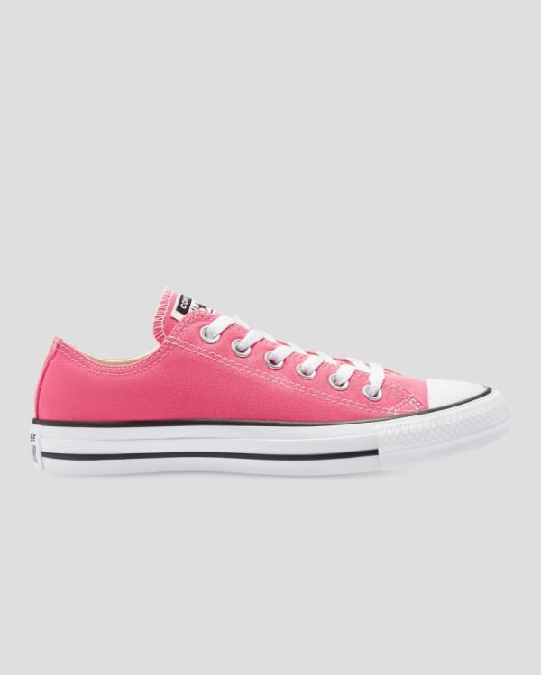 Tenisi Low Top Converse Chuck Taylor All Star Seasonal Colour Roz | CV-540RFI