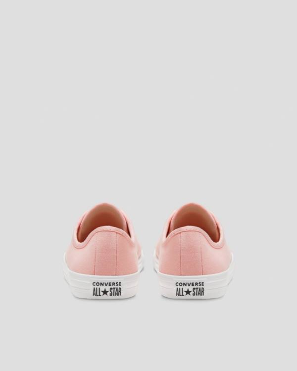 Tenisi Low Top Converse Chuck Taylor All Star Dainty Seasonal Colour Roz | CV-719VMH