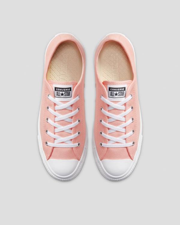 Tenisi Low Top Converse Chuck Taylor All Star Dainty Seasonal Colour Roz | CV-719VMH